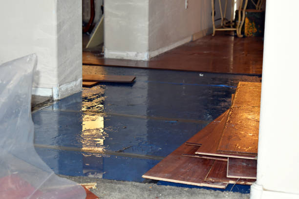 Professional Sewage Cleanup technician working in Davisburg, MI
